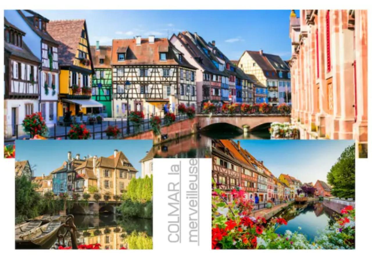 Peyerimhoff Colmar - 3 Chambres - 8 Pers - Clim Ngoại thất bức ảnh